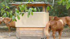 Raufomat Smart, automatische Großballenraufe mit Strom